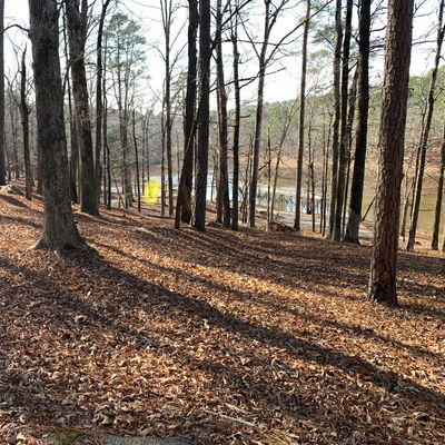 Hole 10, basket highlighted