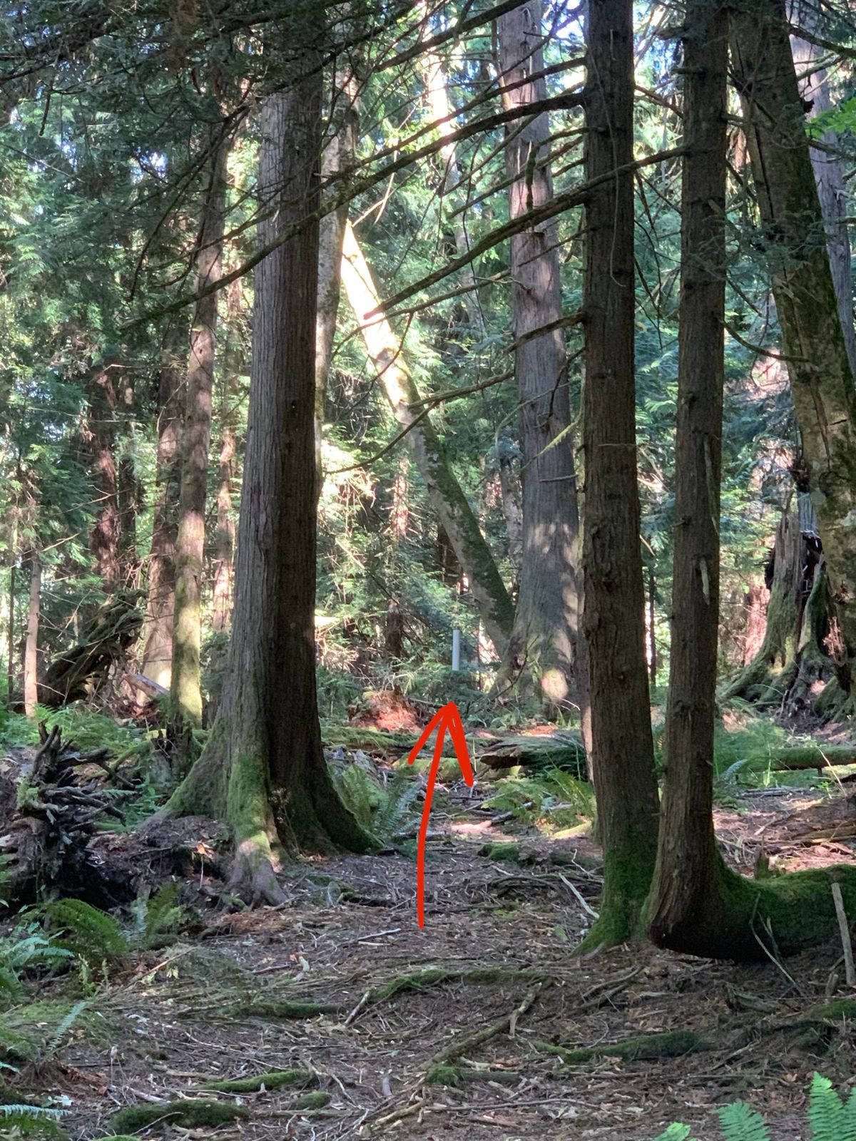Hole 1: Quick Slant