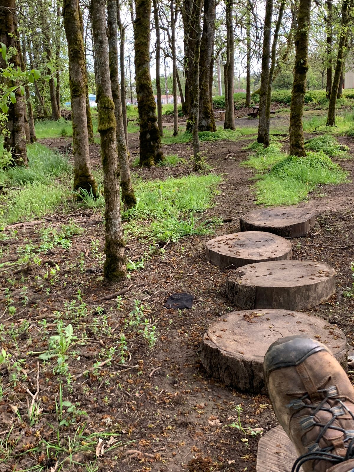 Path to Tee 17