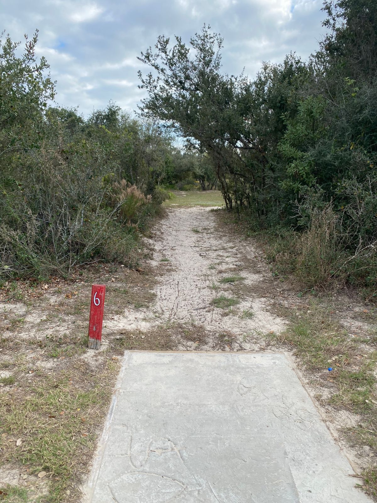 A few holes play in these tighter woods but most are wide open.