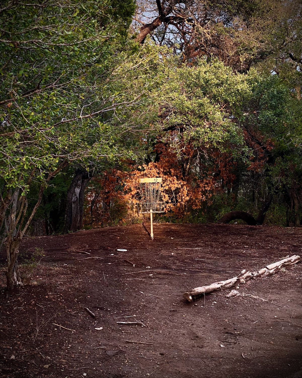 Hole 12’s basket lit up by a ray of sunshine during an otherwise overcast evening.