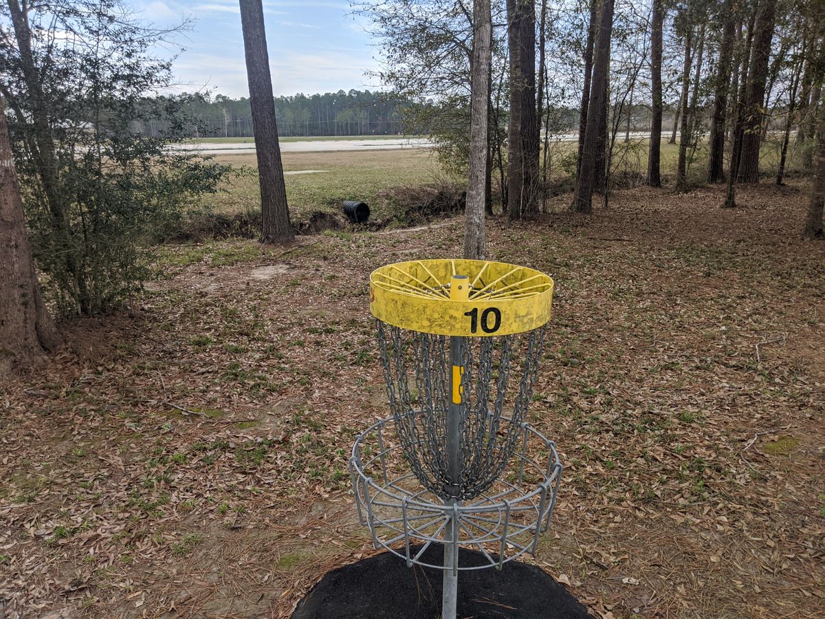Hole 10 Basket