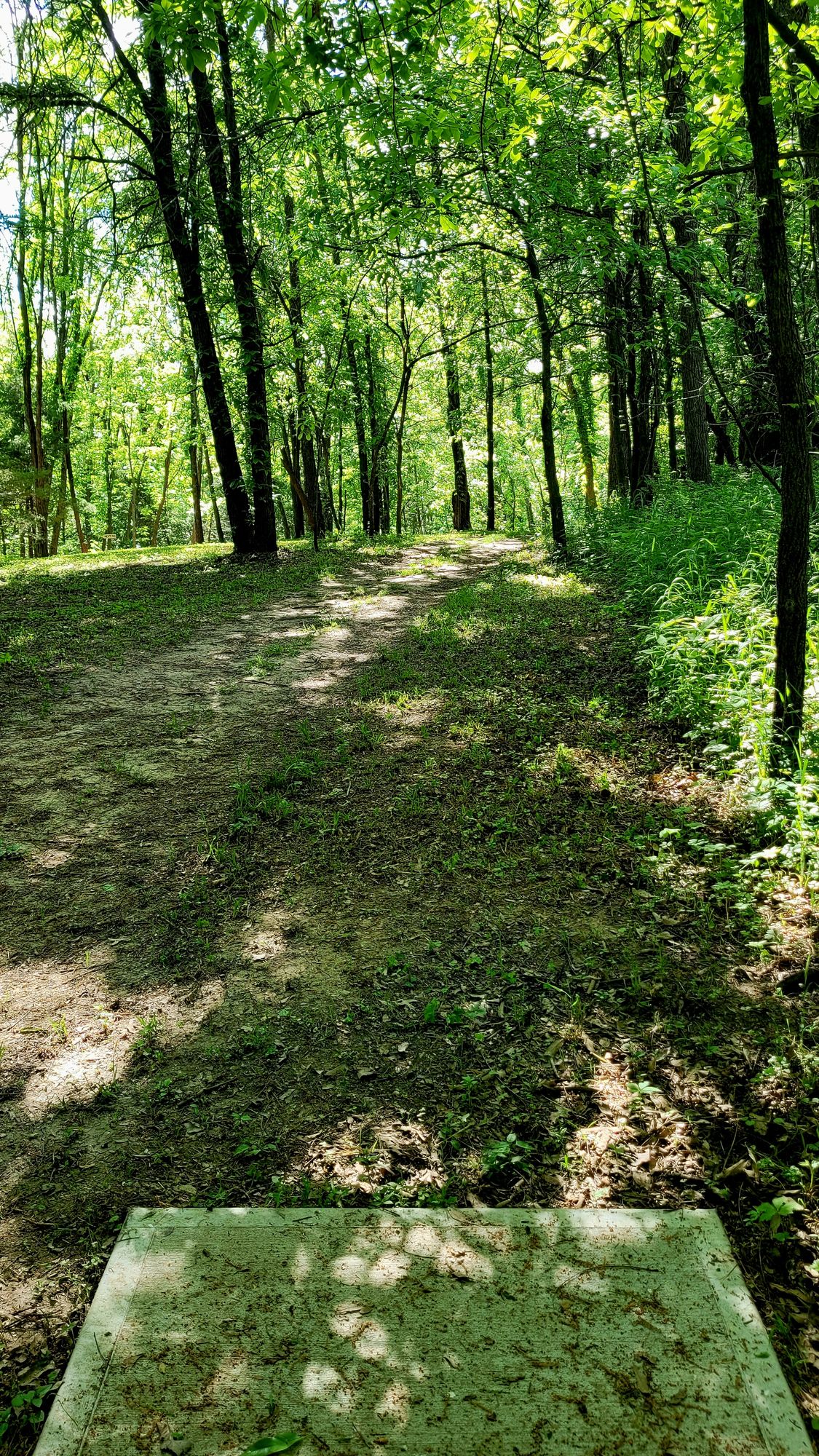 Hole 3