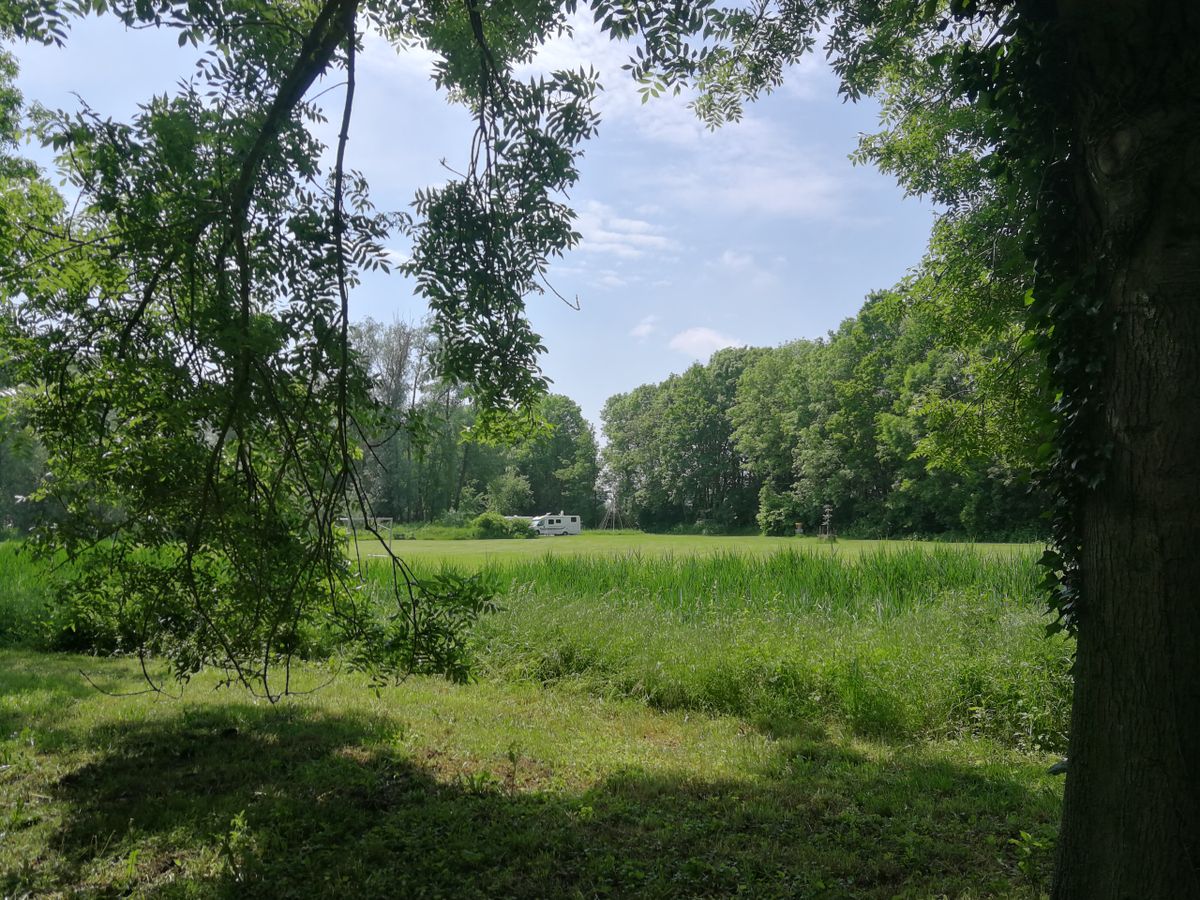 Open field for practice
