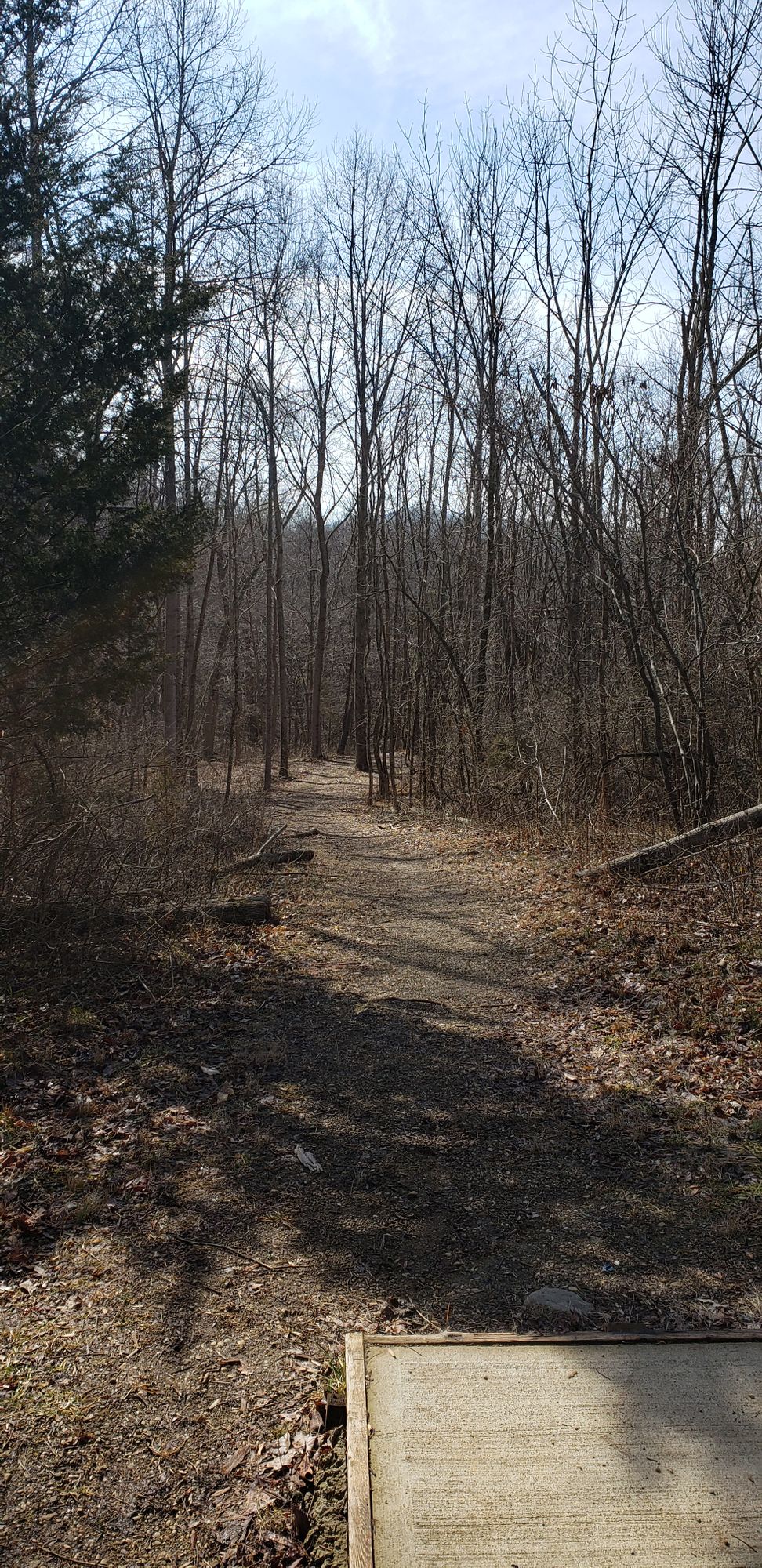 Hole 11