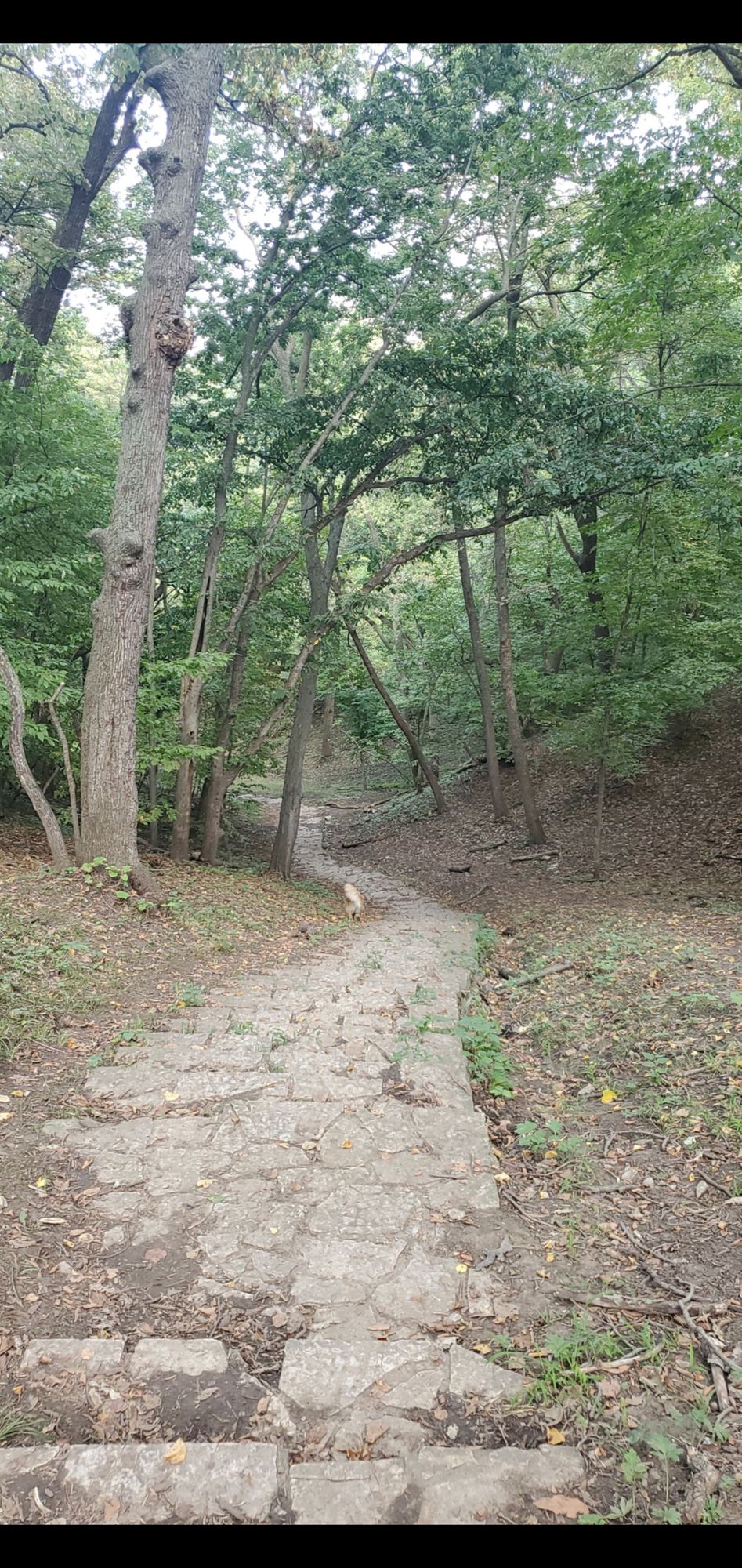 Hole 1