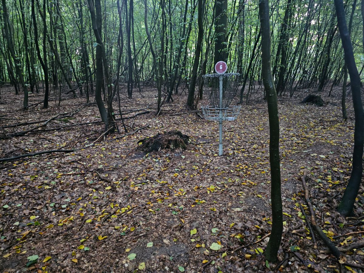 Hole 6