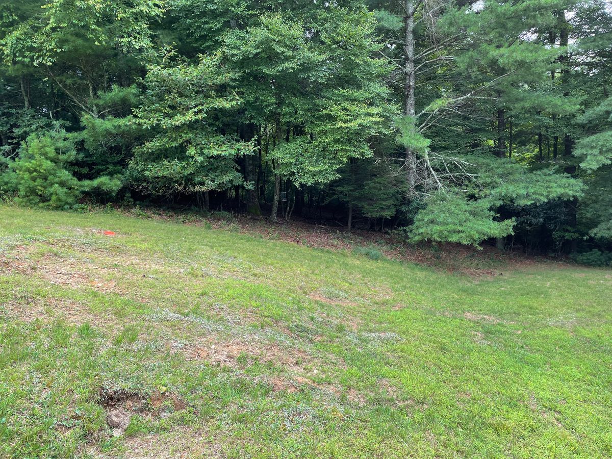 Hole 18 landing zone. Guarded green. 100ft to pin.