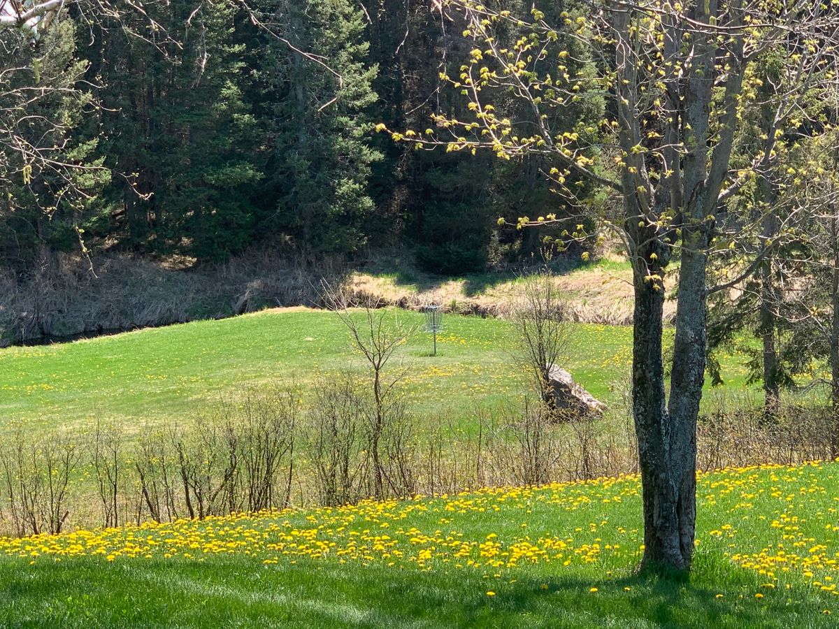 Hole 1