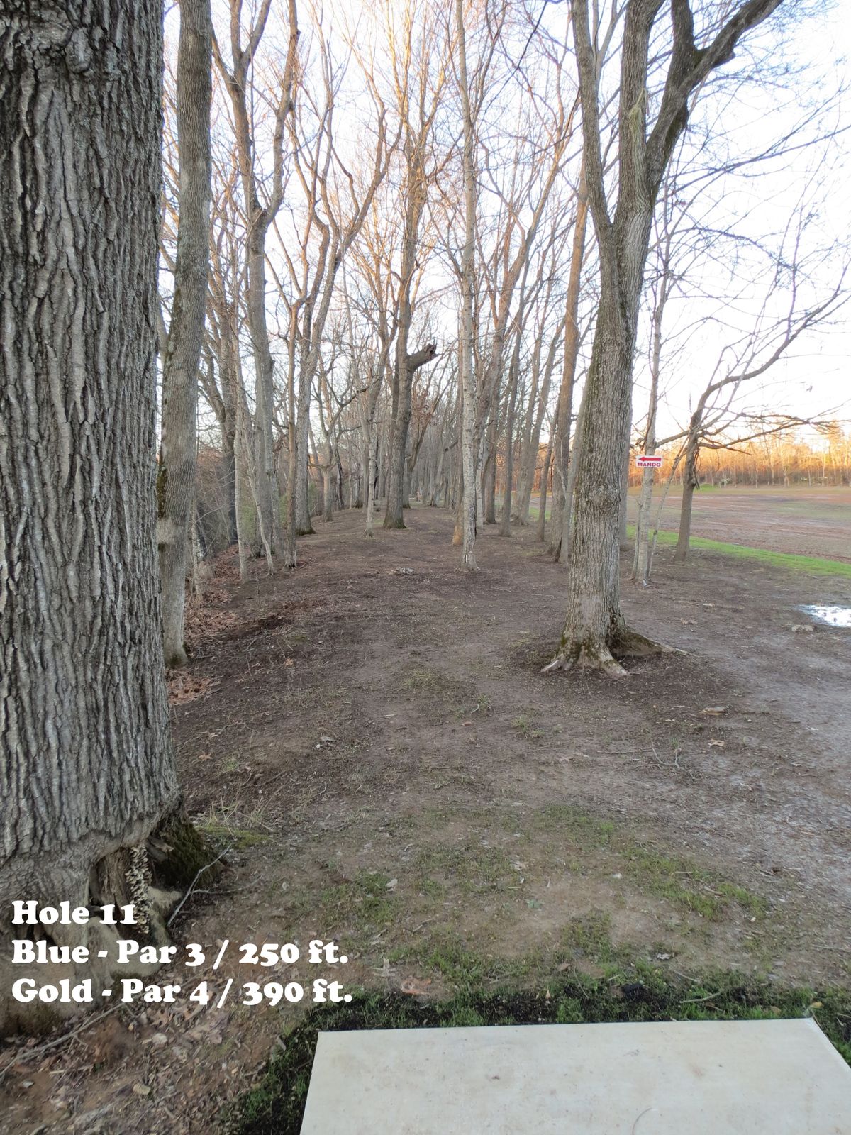 UPDATE: Blue - Par 3 / 280 ft.