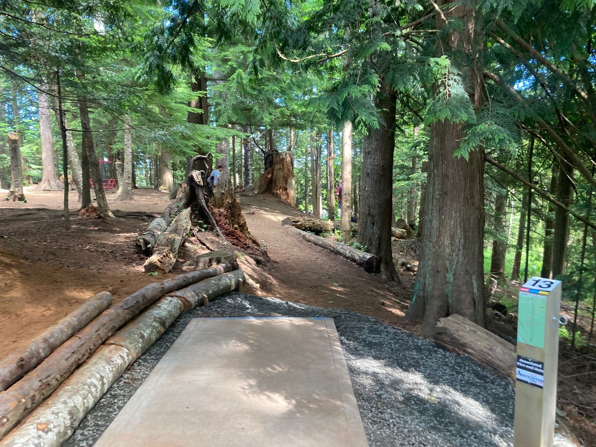 Hole 13 Blue Tee pad.  Double mando between large stump on left and tree on right