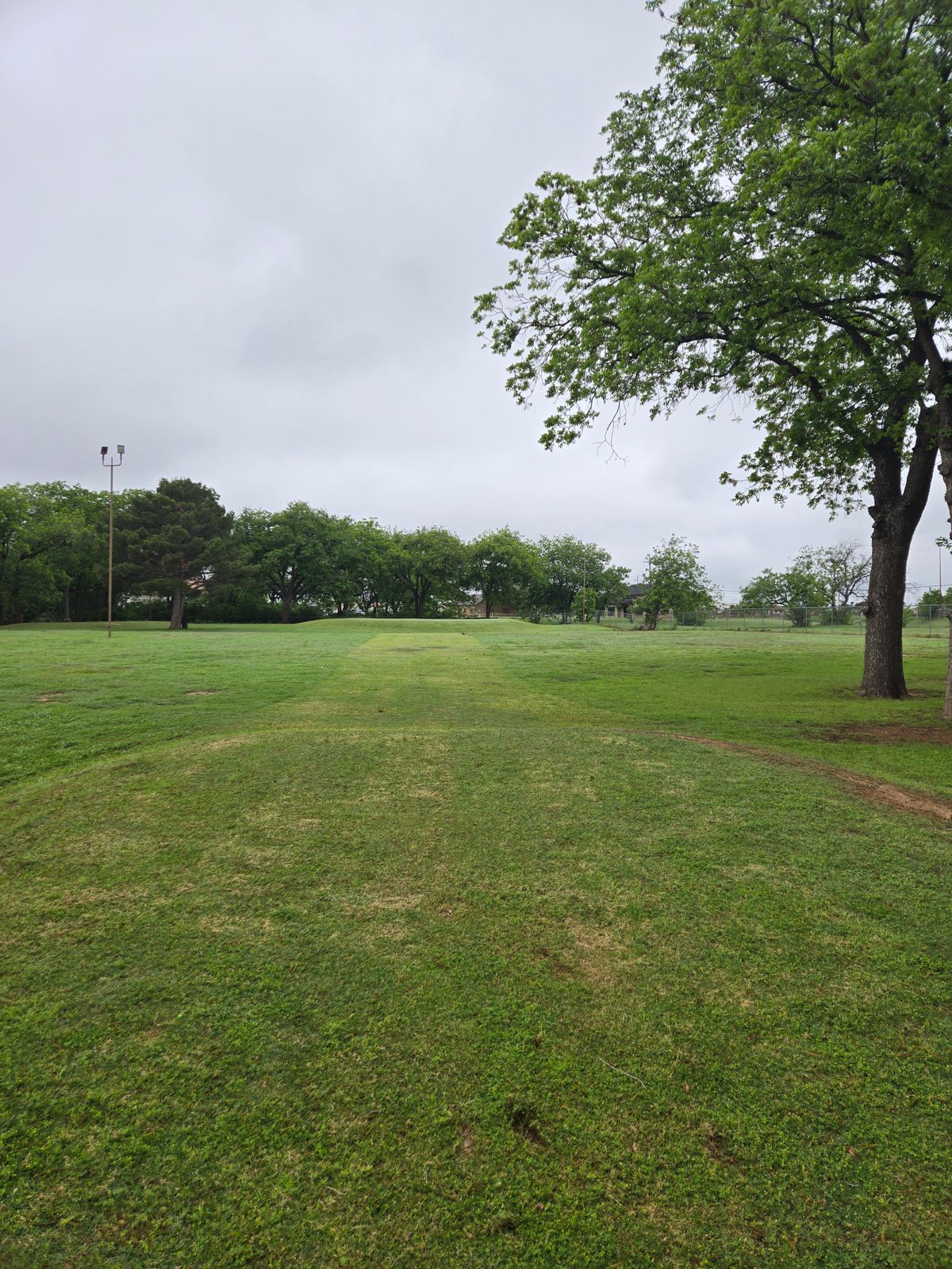 Hole 4 Tee