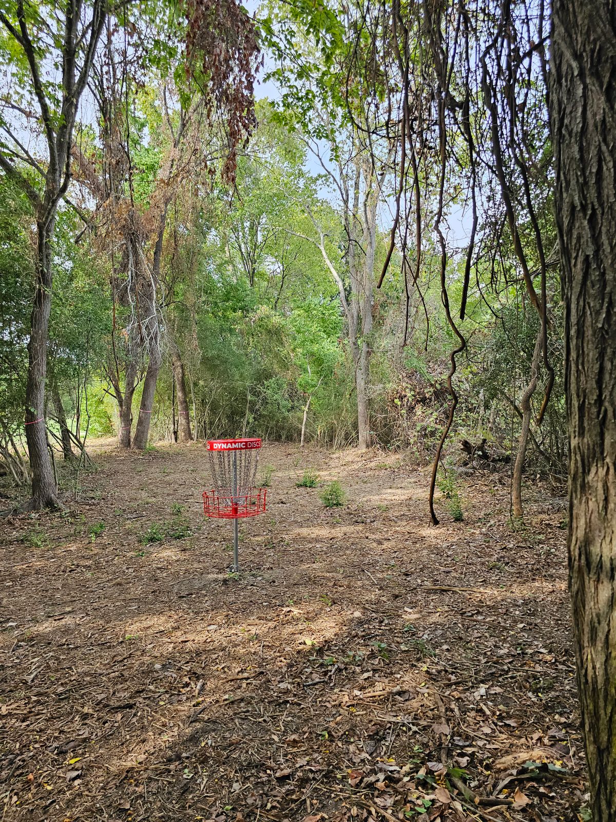 Hole 11 Backwards