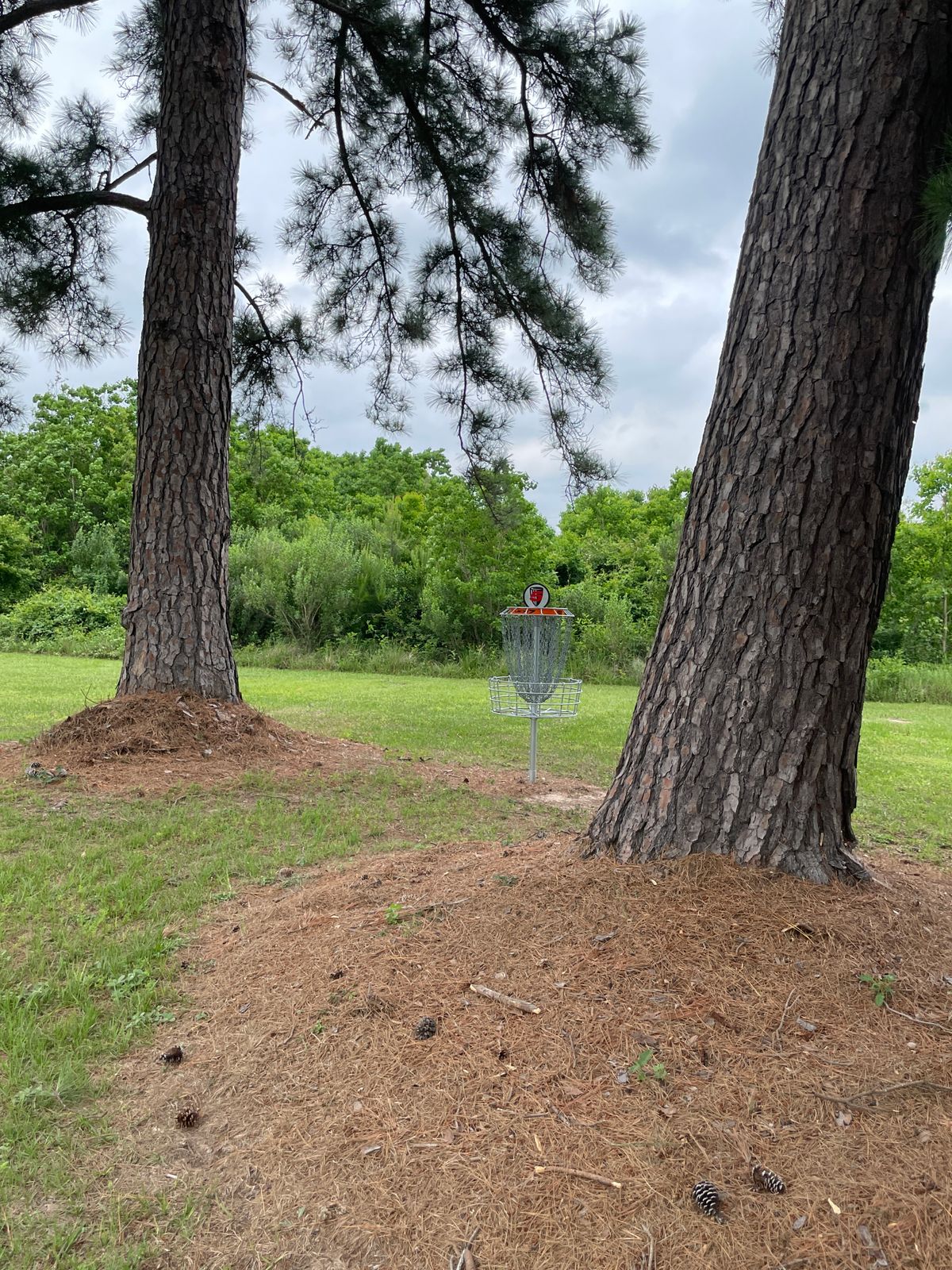 Fifth hole basket.