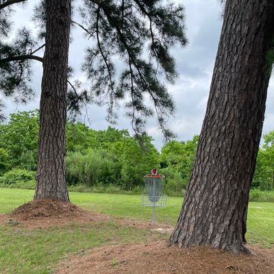 Fifth hole basket.