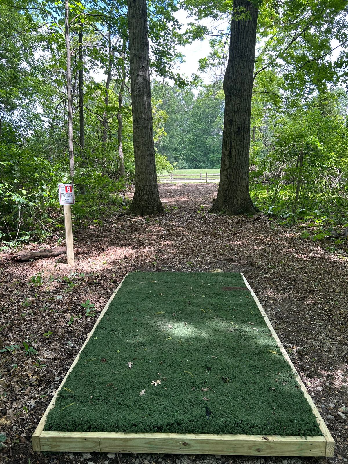 Hole 9 300ft par 3