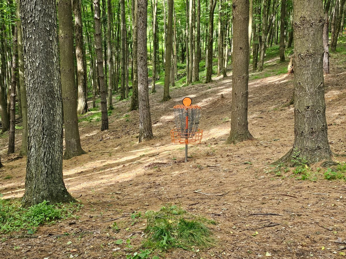 Hole 13 Green