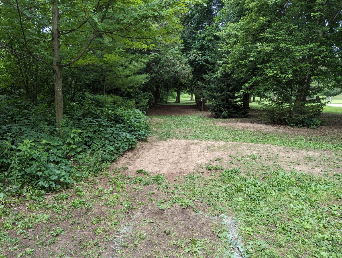 Hole 6 Tee
