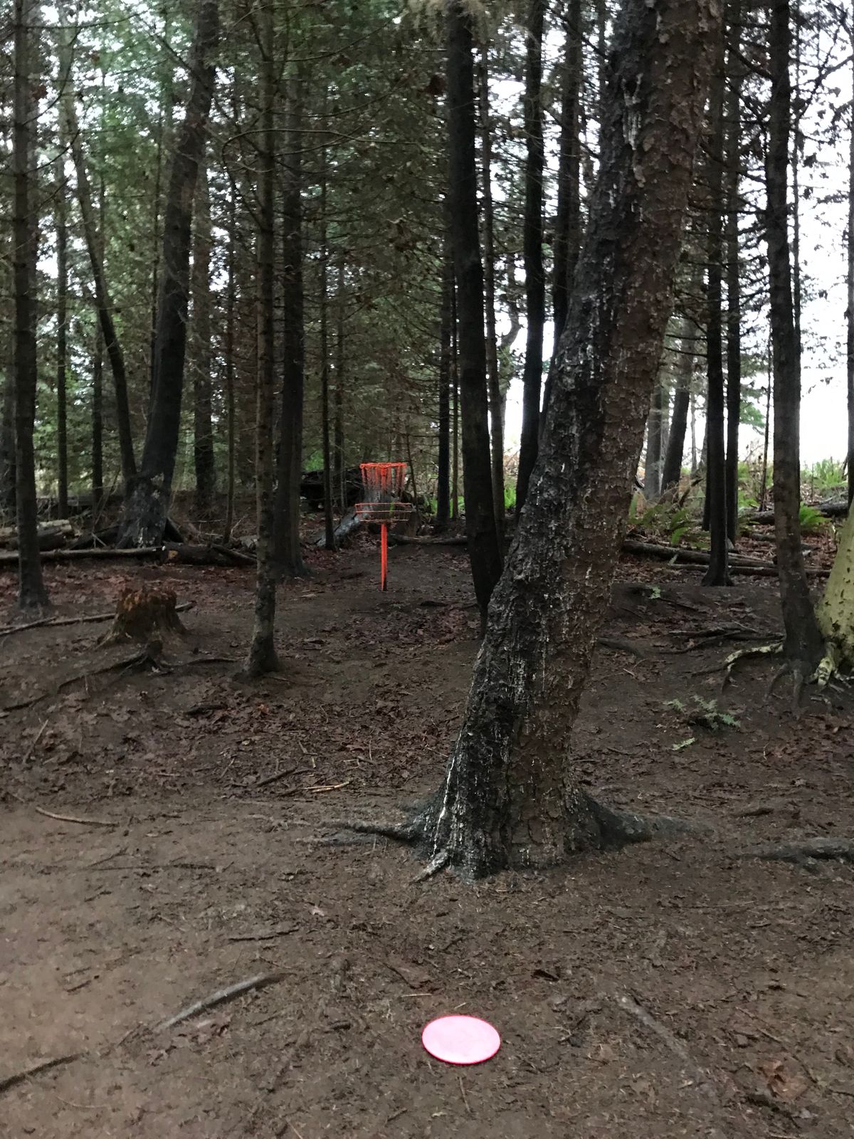 Hole 2 basket