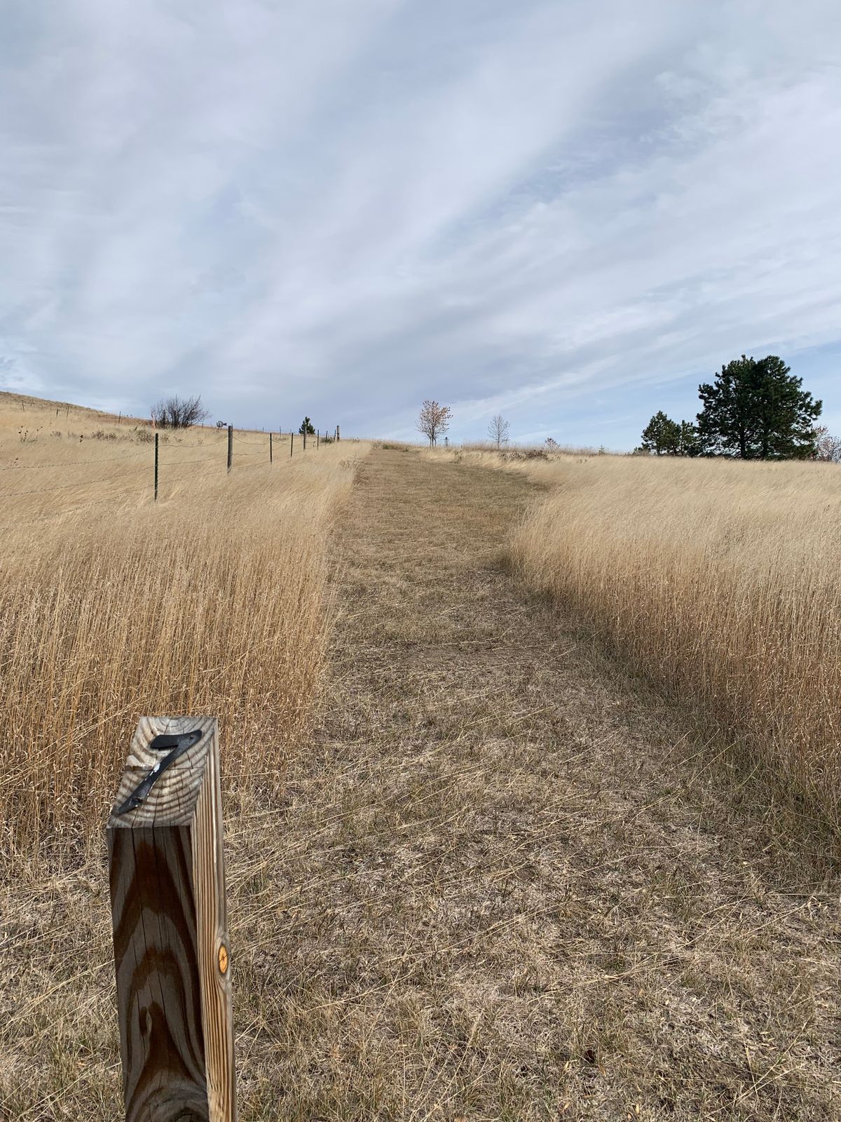 Hole 7