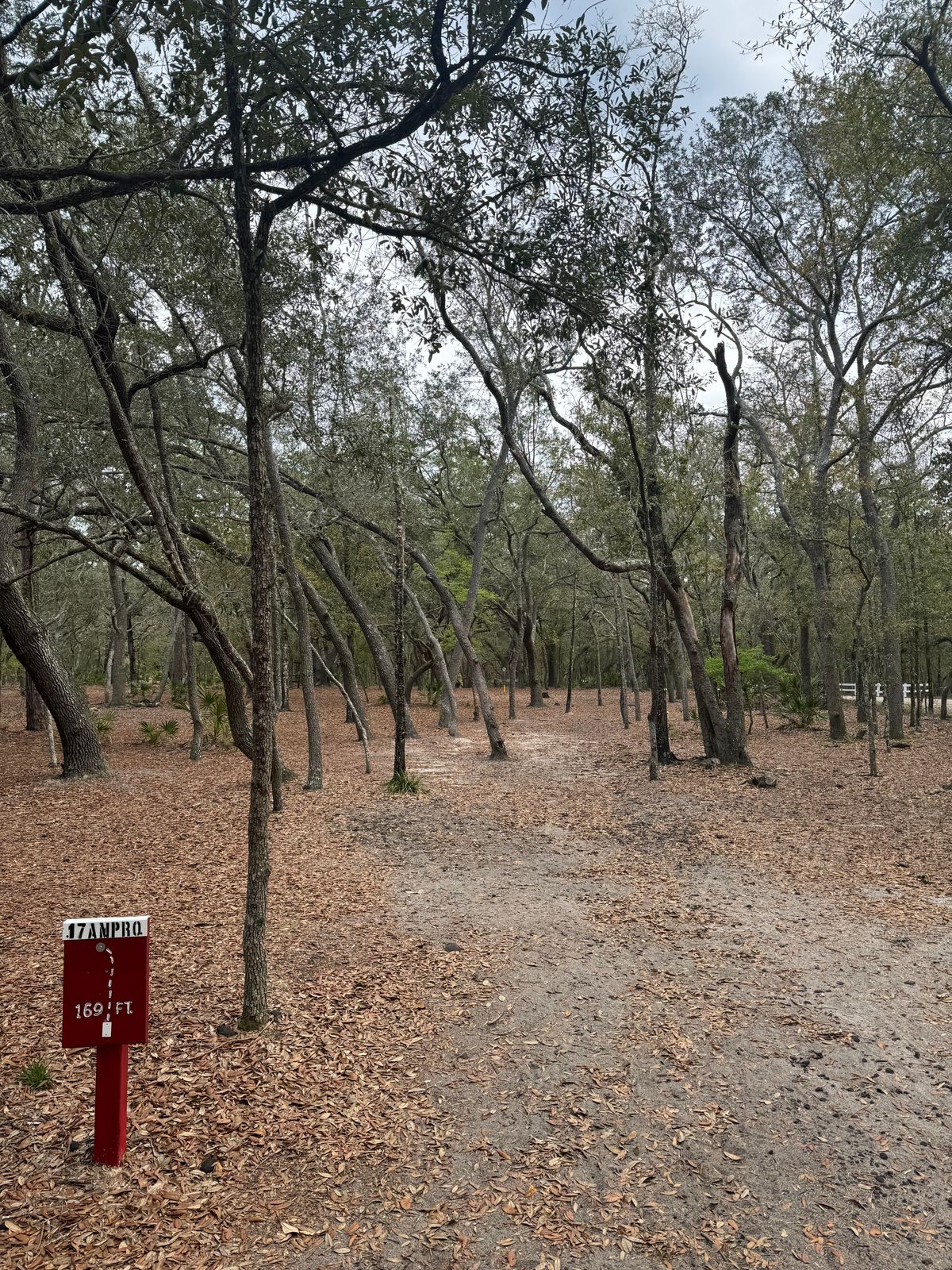 “Fairway” on 17.