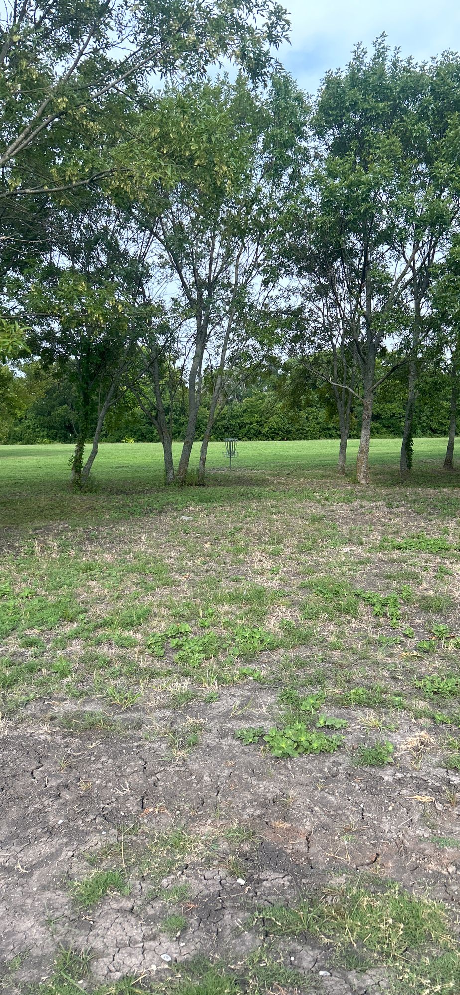 Hole 1-18 are all open shots with minimal tree guards.