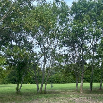 Hole 1-18 are all open shots with minimal tree guards.