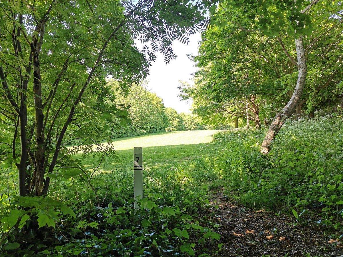 Mereside 'Blue 18' Tee 7