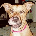 User avatar image