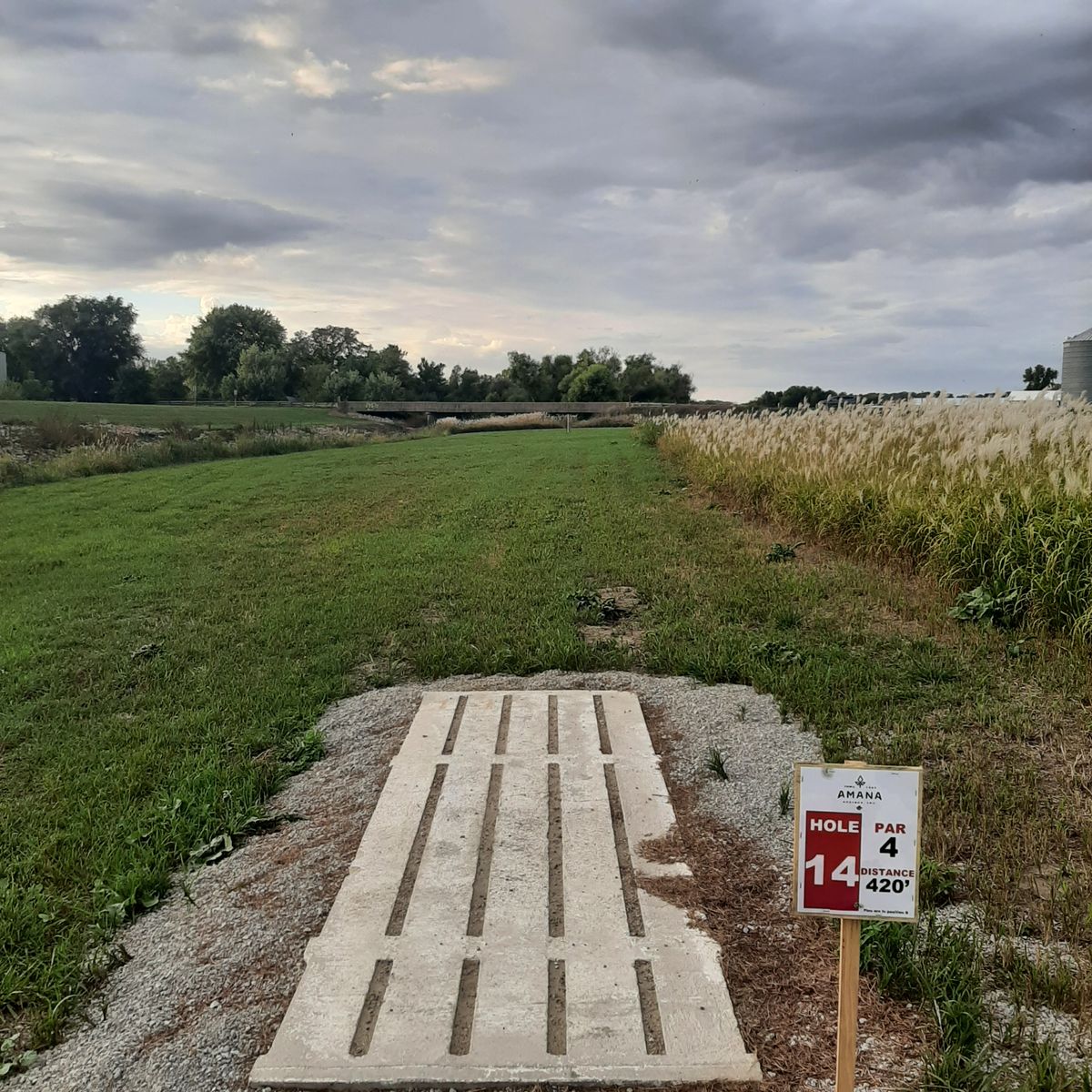 Hole 14 Pad