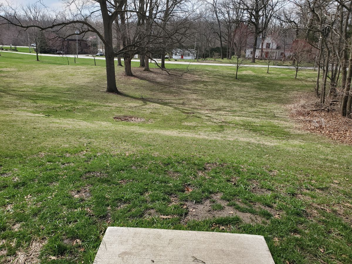 Hole 5 basket behind roll of trees