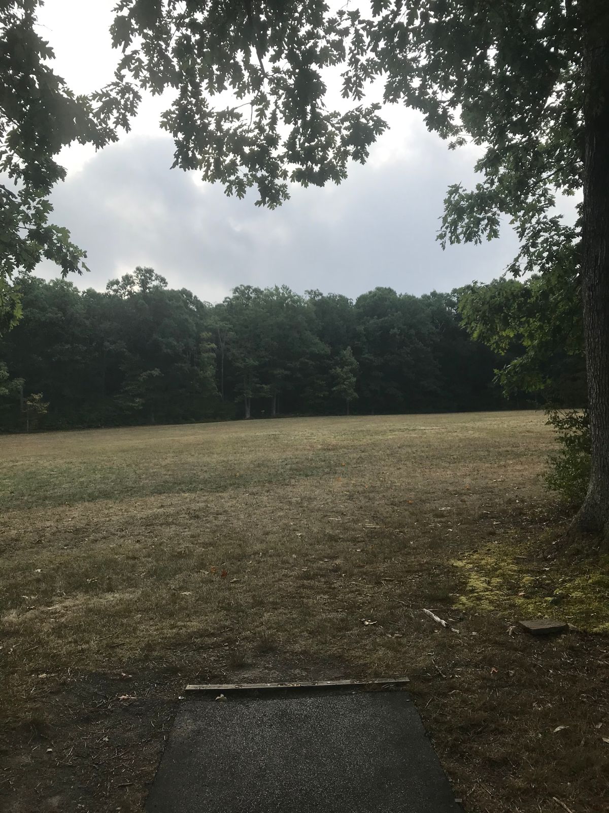 #5 tee/fairway
Par 3