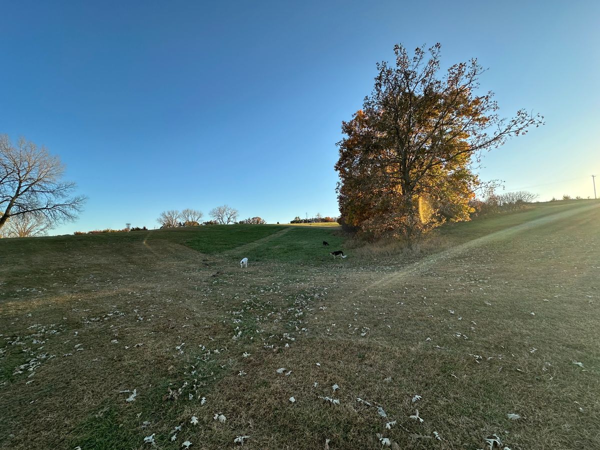 Hole 14. Pin on left is shorty. Pin straight will be force carry w/ tree as mando off tee