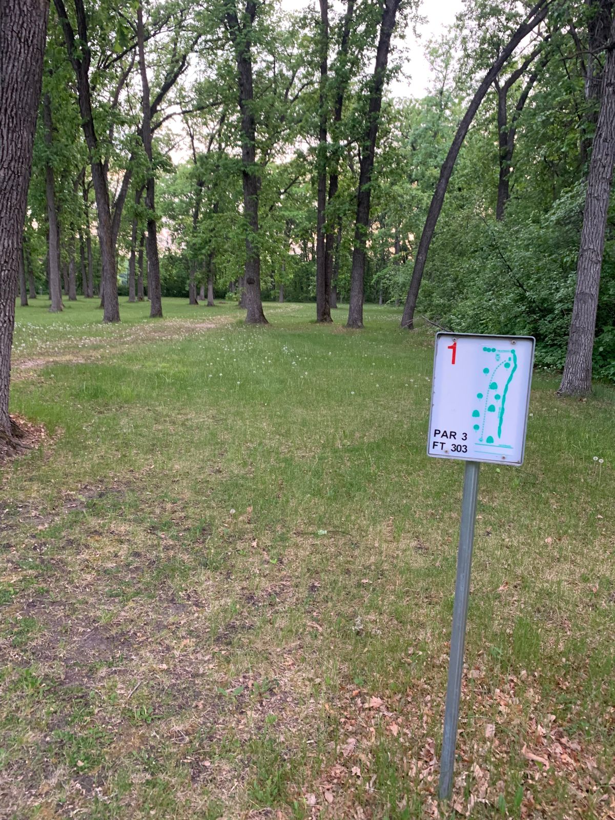 View of hole 1 tee pad area. First 4 holes play through scattered mature trees.