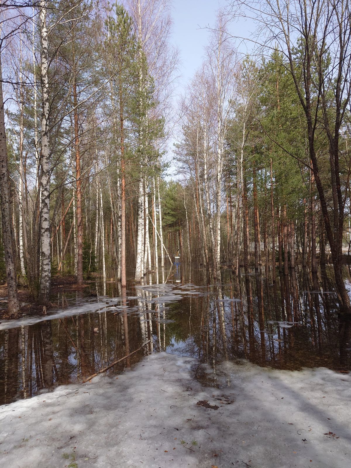 Väylä 6 1.4.2024