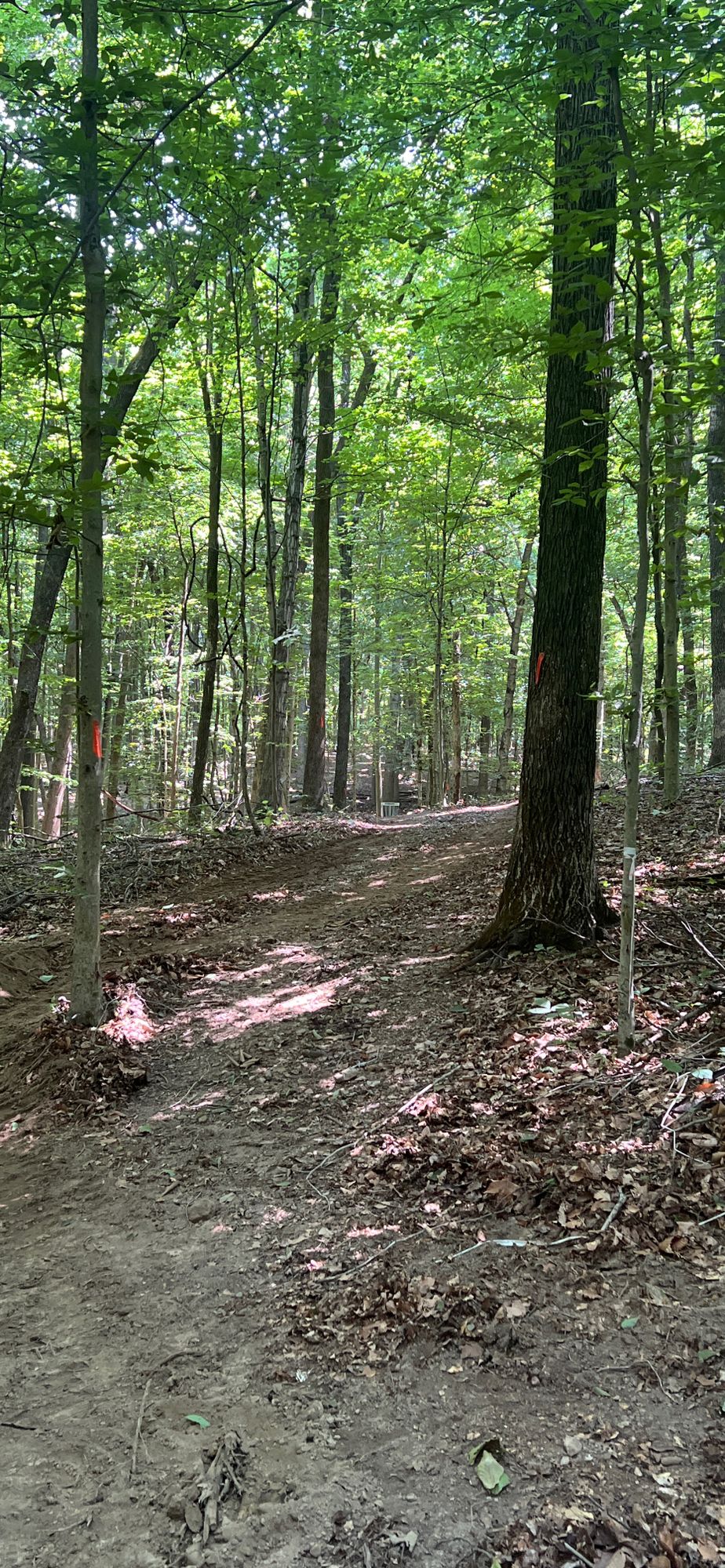 Hole 3 fairway