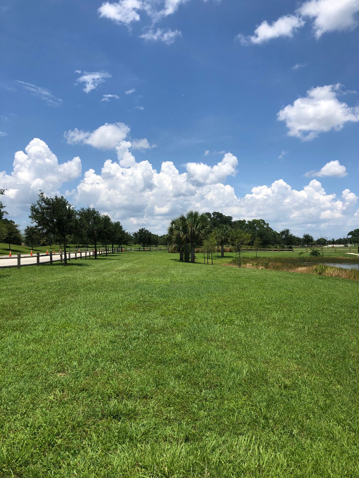 Hole 15