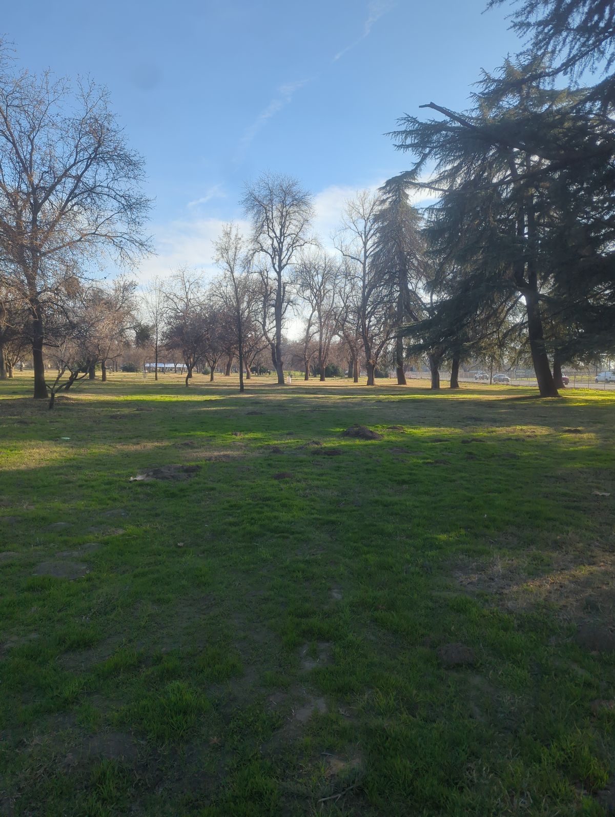 Hole 12 near short pin
