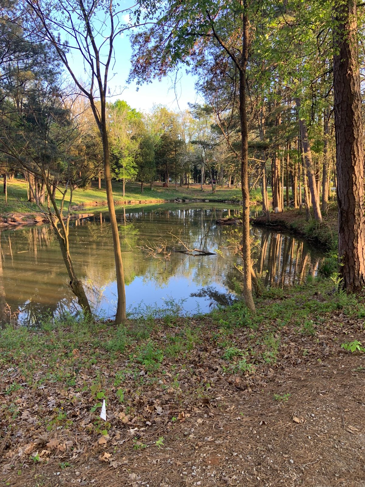 Hole 1 long position