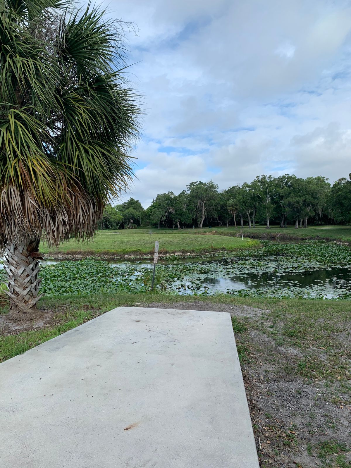 Killer distance with a very cool pond in play