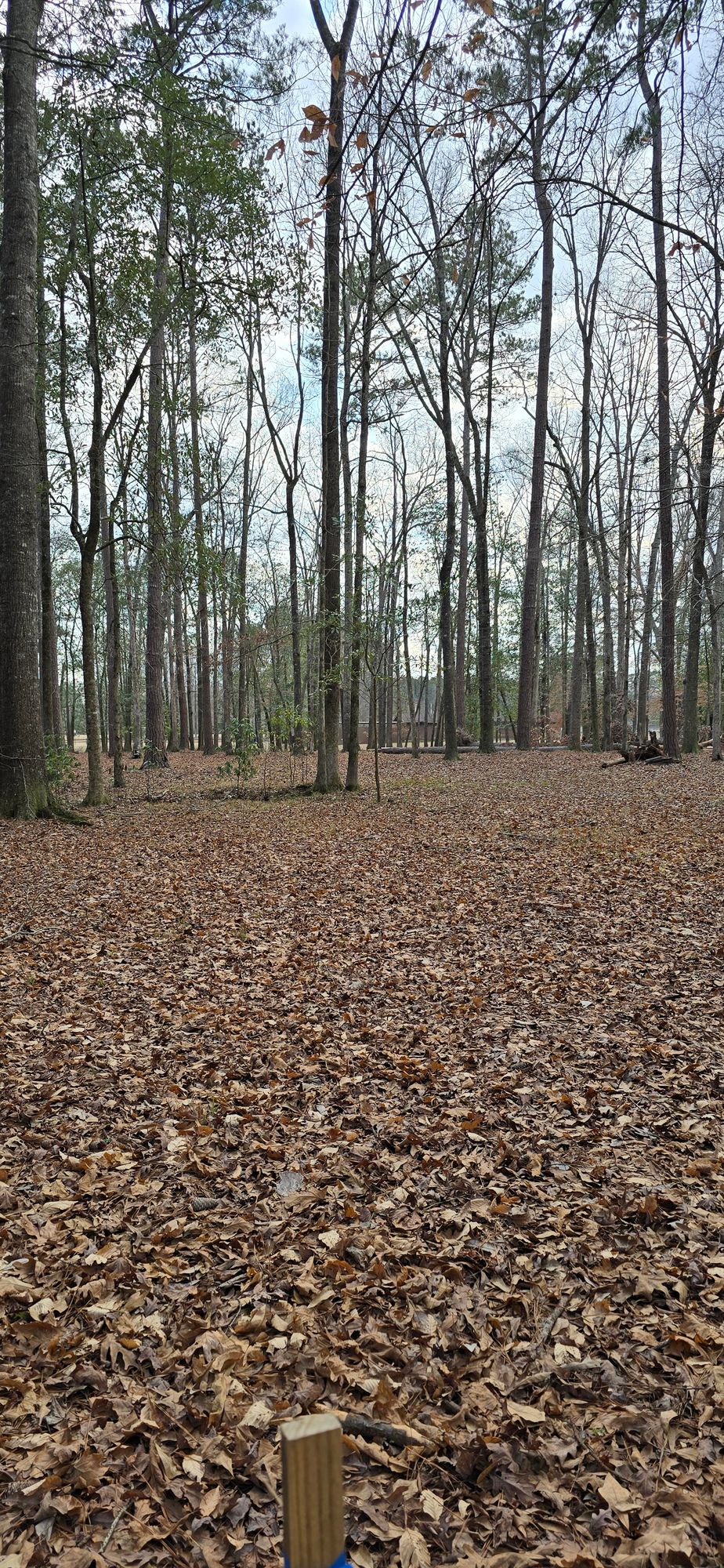 Tee location for hole 14