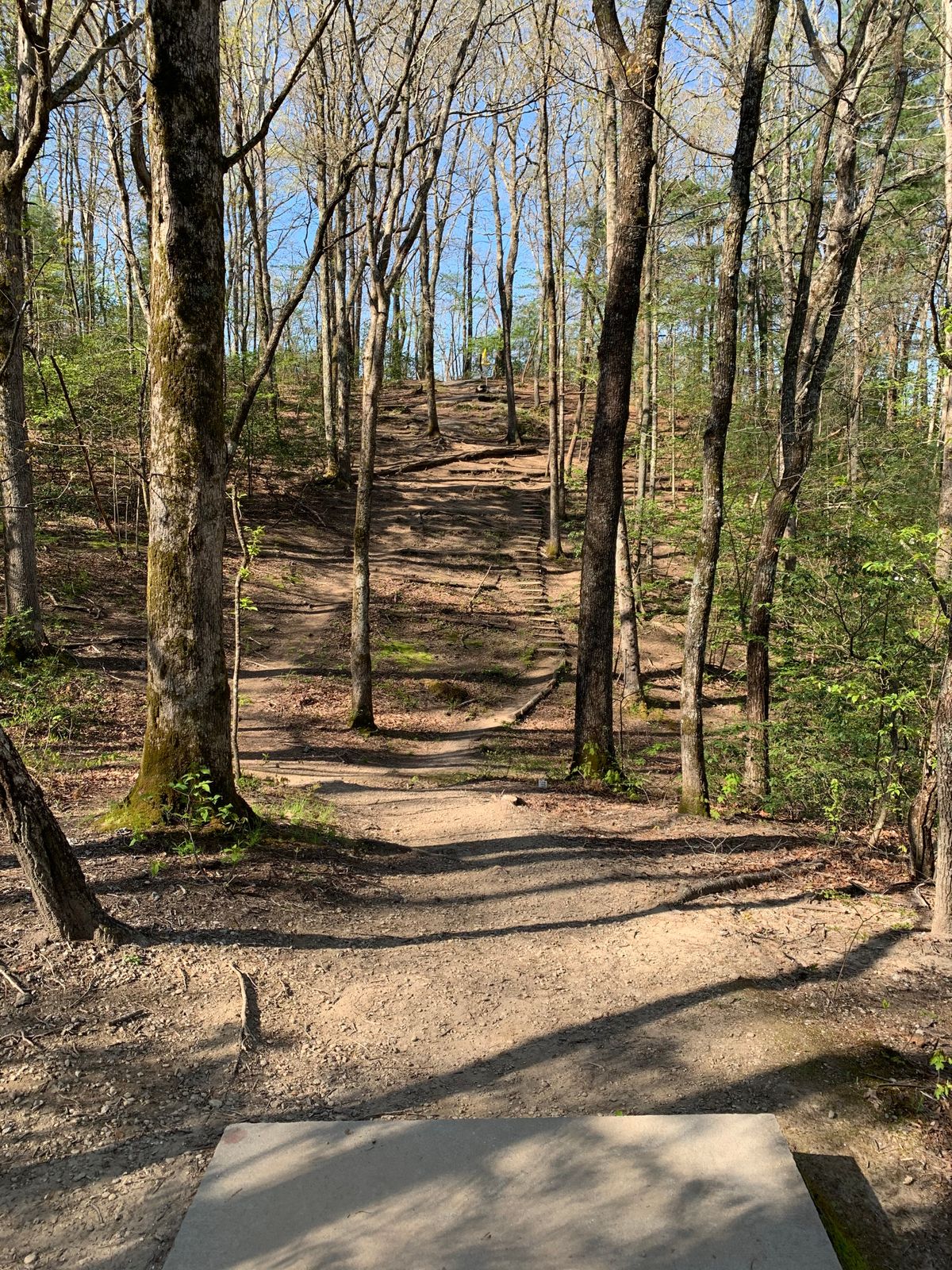 Looking across towards the basket from the tee on hole 9.
