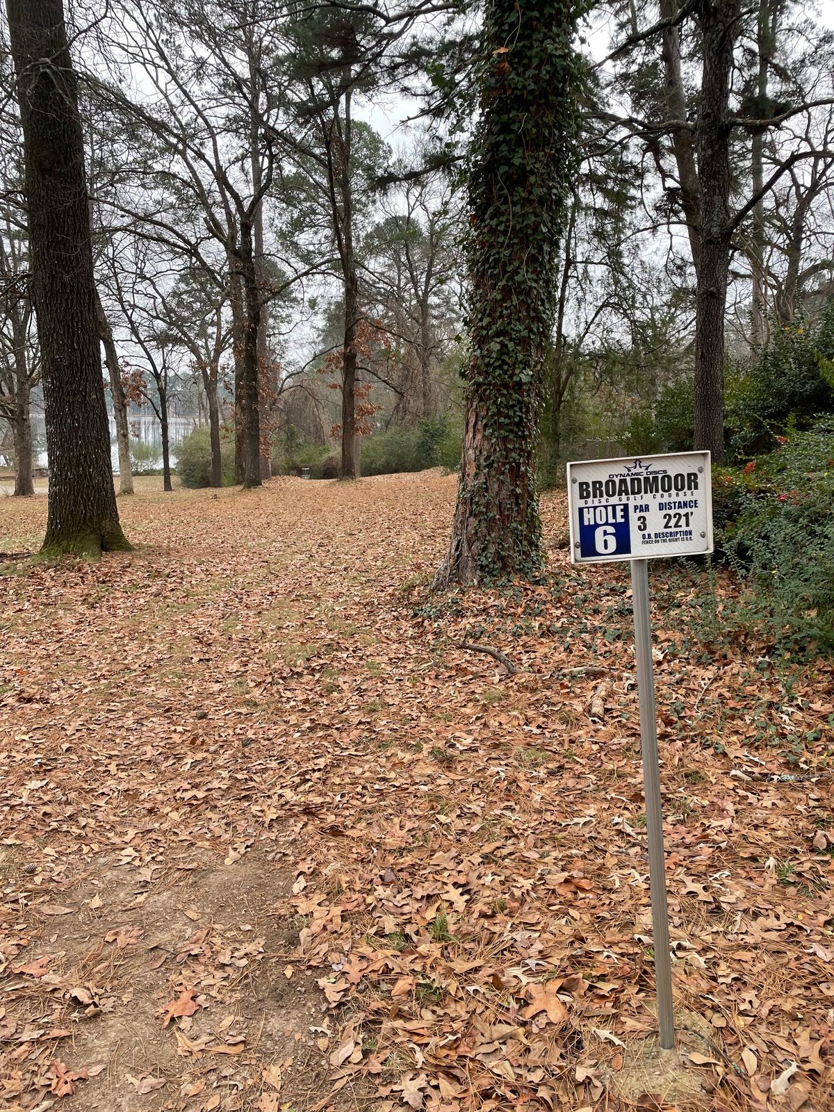 Hole6: over the ridge line and down to basket