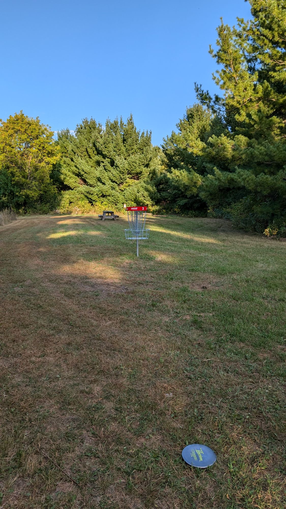 Basket of three offers wide open putts in all directions in circle one. Players should be hoping for birdies on this hole