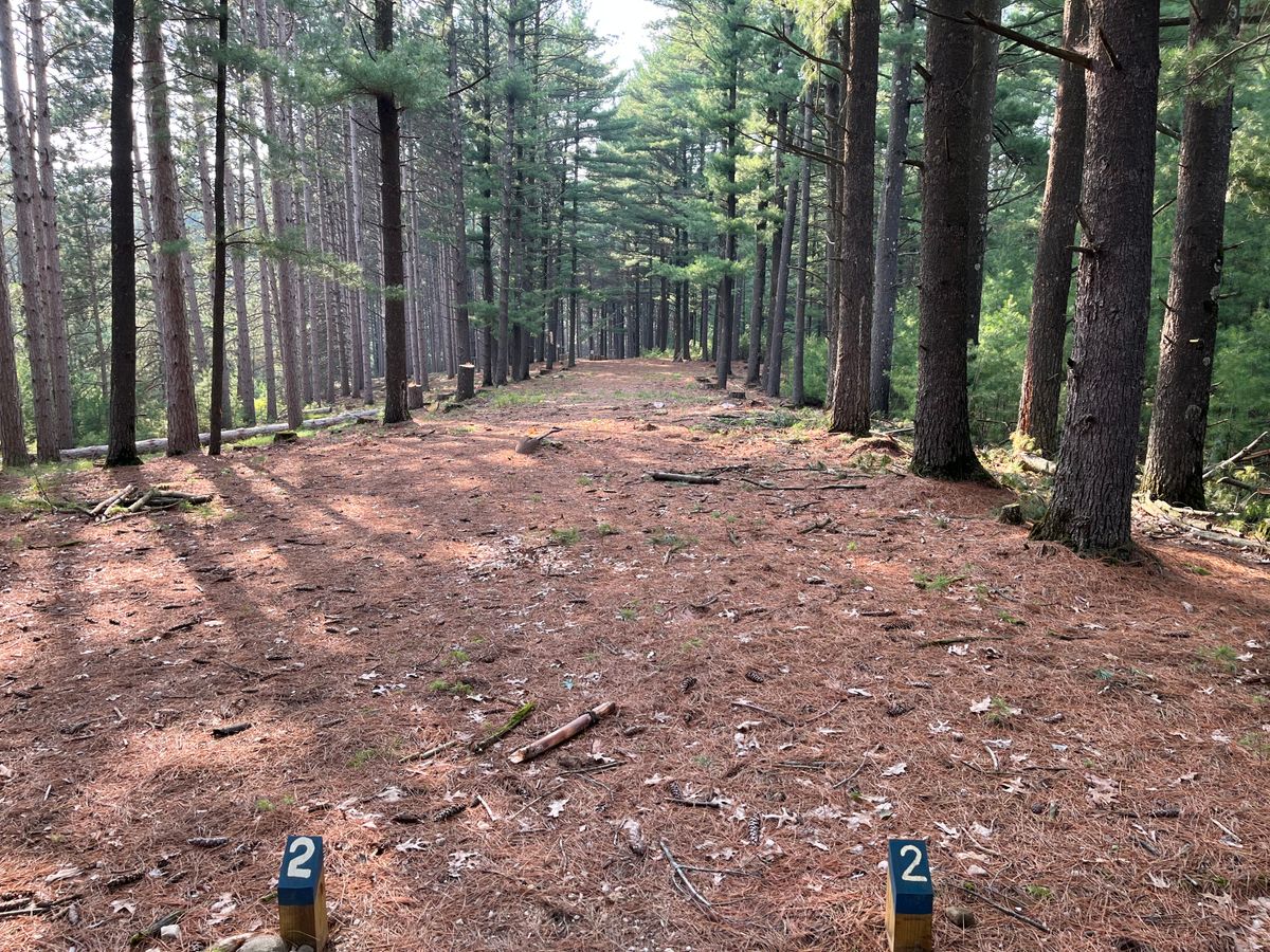 Hole 2 long tee (new tee in process of being created)