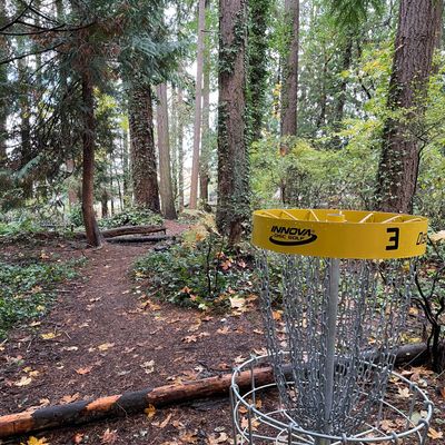 Looking back at the tee 🌲🌲