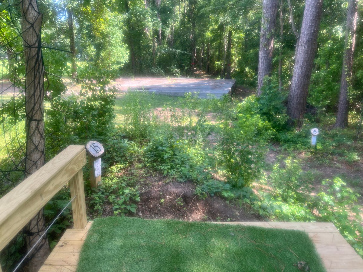 Hole #15 tee