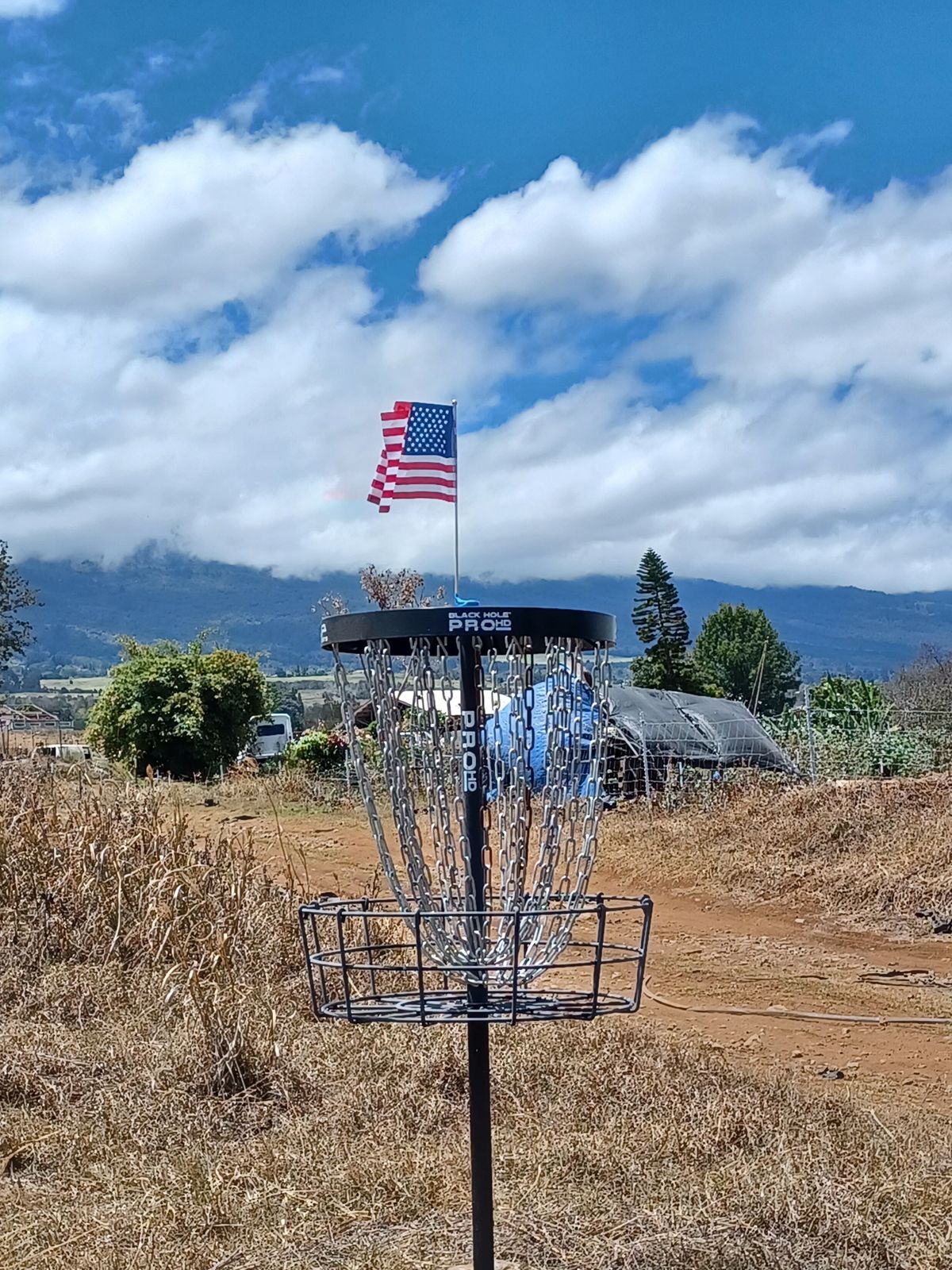 Number 6 basket