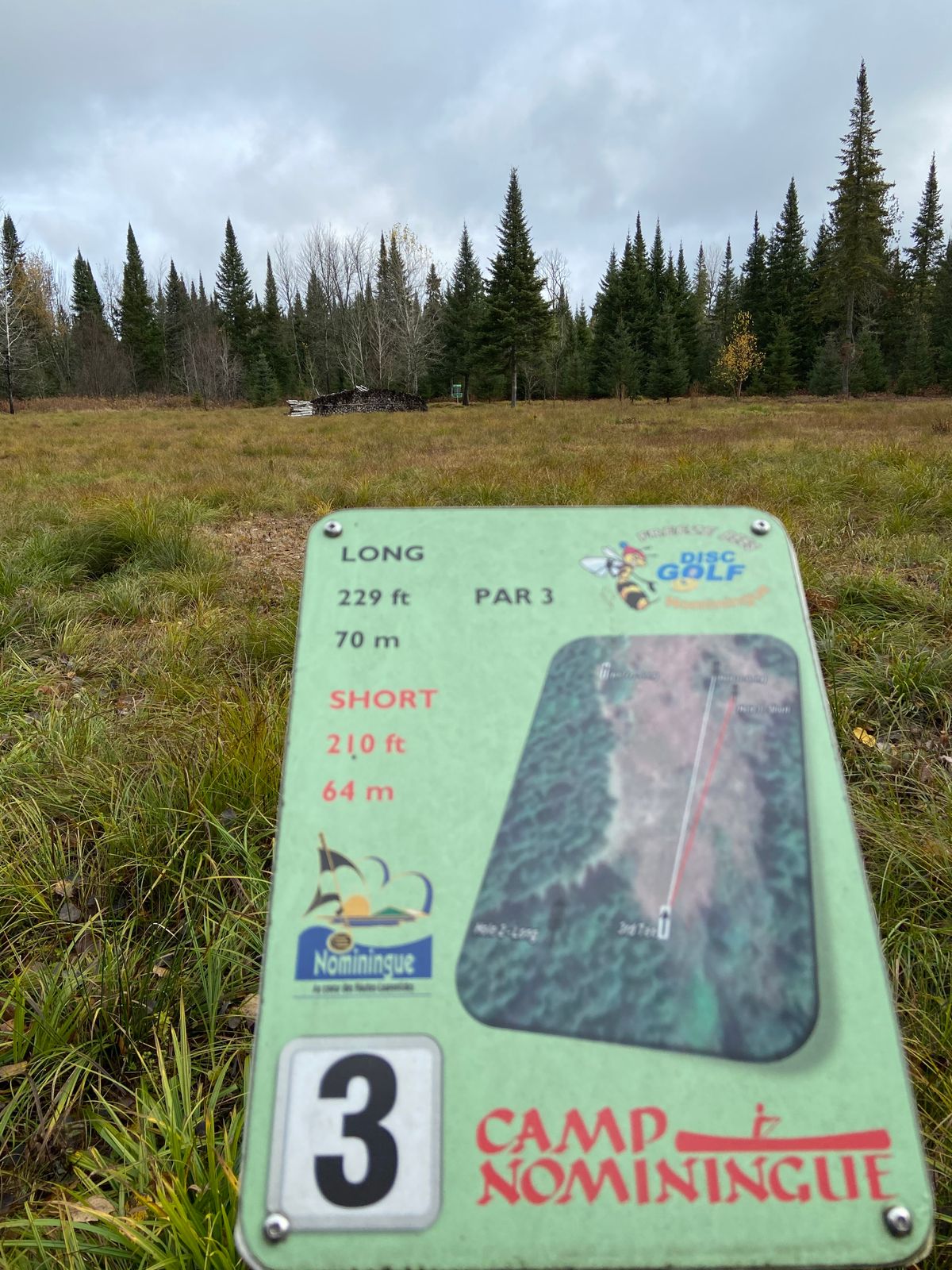 Tee 3