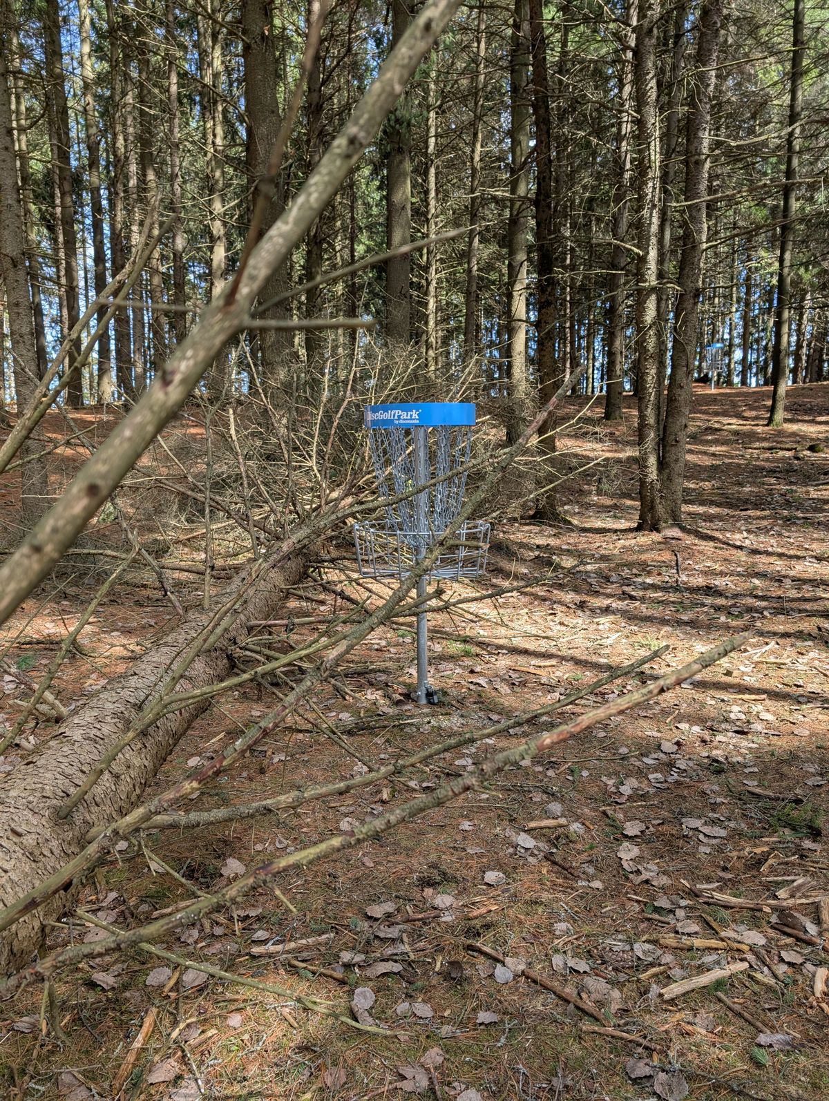 This was a tricky shot but managed to get it in for par